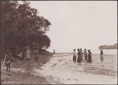 People on beach at Mota Lava, Banks Islands, 1906 / J.W. Beattie