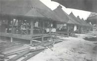 Ninth General Hospital. World War II. Biak Island.