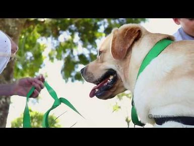 PBS Hawai‘i - HIKI NŌ Episode #908 | Kamehameha Schools Maui Middle - Maui | Therapy Dog