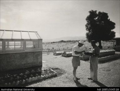 Cane Nursery
