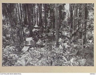 WONGINARA MISSION, NEW GUINEA. 1945-04-07. A GENERAL VIEW OF SECTION OF BATTALION HEADQUARTERS, 2/3 INFANTRY BATTALION, IN THE TORRICELLI MOUNTAINS INLAND FROM DAGUA