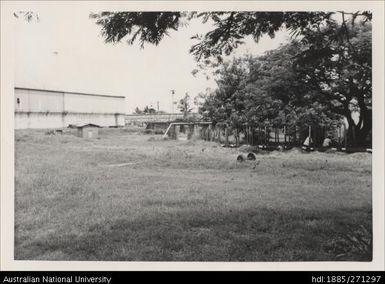 Grounds, Lautoka Mill