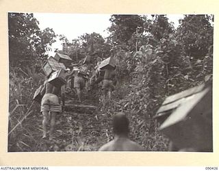DAGUA AREA, NEW GUINEA. 1945-04-04. A BOONG (NATIVE) KAI (FOOD) LINE ESCORTED BY 2/3 INFANTRY BATTALION TROOPS, STRUGGLING UP A MUDDY 2 IN 1 GRADE WITH STORES FOR FORWARD TROOPS