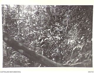 KARAWOP, NEW GUINEA, 1945-04-22. A FIGHTING PATROL FROM C COMPANY, 2/1 INFANTRY BATTALION, ON 1800 FEATURE. LED BY LT R.J. GOTTS, THEIR OBJECT IS TO CLEAR THE AREA AND FIND AN APPROACH FOR AN ..