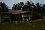 Village home, Sepik district, Oct 1961