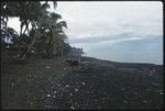 Beach scene