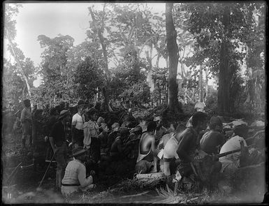 New Zealand and Samoan group, in Samoa