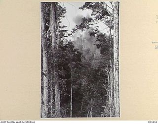 WEWAK AREA, NEW GUINEA. 1945-06-27. AN AIRSTRIKE BY RAAF BEAUFORT AIRCRAFT TO GIVE SUPPORT TO 2/8 INFANTRY BATTALION TROOPS DURING THEIR ATTACK AGAINST JAPANESE POSITIONS ON MOUNT SHIBURANGU