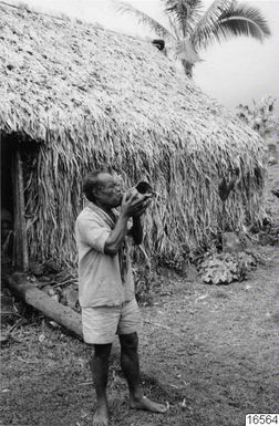 musical instruments, snack trumpet, snack, makawa, bursa-beak, davui, trumpet, photograph, musikph