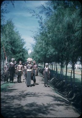 The passing parade on the road past our house, the men are coming : Minj Station, Wahgi Valley, Papua New Guinea, 1954 / Terence and Margaret Spencer