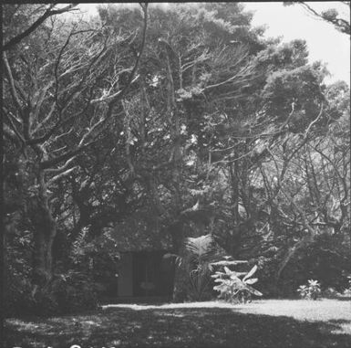 A prison wall surrounded by trees, Isle of Pines, New Caledonia, 1967 / Michael Terry