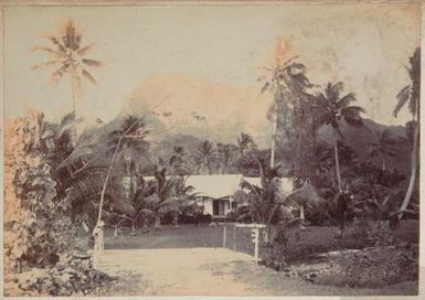 A house and bridge in the Cook Islands. From the album: Cook Islands