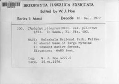 Thuidium plicatum