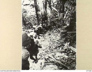 BOUGAINVILLE ISLAND. 1944-11-25. AUSTRALIAN NEW GUINEA ADMINISTRATIVE UNIT NATIVE CARRIERS CLIMBING THE WINDING SISIVA TRAIL WITH AMMUNITION AND WEAPONS FOR A COMPANY, 9TH INFANTRY BATTALION WHICH ..
