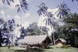 French Polynesia, thatched-roofed home on Tahiti Island