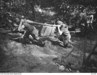 BOUGAINVILLE, 1945-05-17. TROOPS OF 57/60 INFANTRY BATTALION CLIMBING THE ESCARPMENT SOUTH OF THE HONGORAI RIVER DURING THE ADVANCE ALONG COMMANDO ROAD. THE SOLDIERS IN FOREGROUND ARE CARRYING A ..