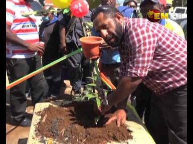 Kundiawa Youth Plant Trees