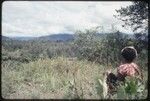 Western Highlands: woman resting beside taro plants