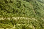 Aerial view of village and road, inland from Madang, Apr 1965