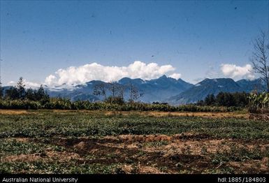 Chimbu - Mt Hagen - 8 miles before Mt Hagen - Mt Kubor