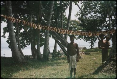 Trophies of the hunt (76 wild pigs' mandibles) : Mapamoiwa village, D'Entrecasteaux Islands, Papua New Guinea, 1956 / Terence and Margaret Spencer