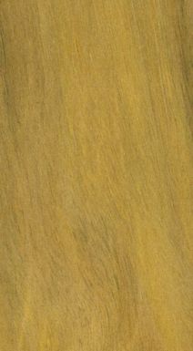 ["Collection de bois de la Xylothèque du Cirad. Bois de Polynésie. Morinda citrifolia - Famille des Rubiacées (Polynésie française)"]