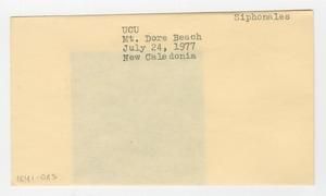 [Siphonales in New Caledonia, envelope IE41-083]