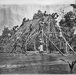 Men building a house, New Guinea?, c1924 to ?