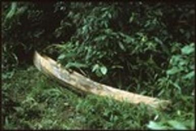 Canoe, possibly made just inland from coastal ridge to sell to sea people