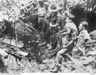 BOUGAINVILLE: AUSTRALIANS SGT. RATTEY, V.C. INSPECTING AN INTRICATE JAP DEFENCE SYSTEM JUST AFTER THE POSITION HAD BEEN WON FROM THE ENEMY AT THE POINT OF THE BAYONET