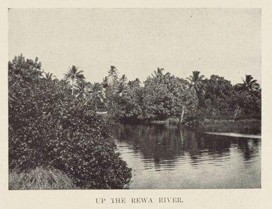 Up the Rewa River