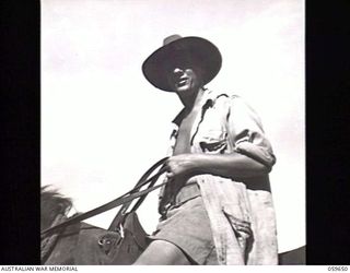 DONADABU, NEW GUINEA. 1943-11-08. VX86976 LANCE CORPORAL K. F. EASTMAN, TROOPER OF THE 1ST AUSTRALIAN PACK TRANSPORT COMPANY. PACK-HORSES ARE USED TO SUPPLY TROOPS, WHO ARE IN POSITIONS HIGH UP IN ..