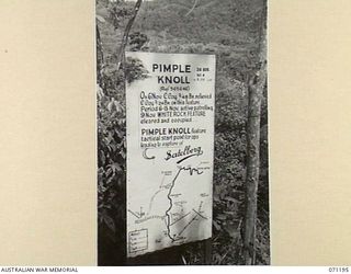 FINSCHHAFEN AREA, NEW GUINEA, 1944-03-17. ONE OF MANY BATTLE SIGNS IN THE AREA, THIS SIGN RECORDS ACTIVITIES OF THE 2/24TH AND 2/48TH INFANTRY BATTALIONS