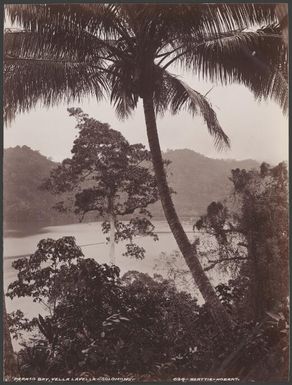 Paraso Bay, Vella Lavella, Solomon Islands, 1906 / J.W. Beattie