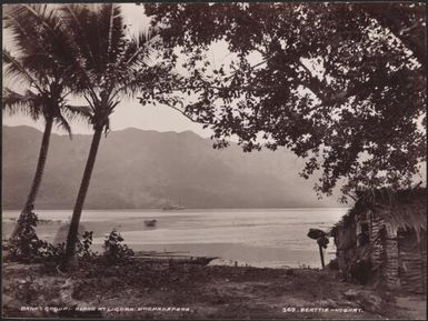 Beach at Ligoro, Ureparapara, Banks Islands, 1906 / J.W. Beattie