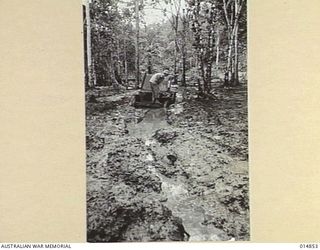 1943-05-17. NEW GUINEA. ARMY MAIL MUST GO THROUGH. LOOK AT THE ROADS IT GOES THROUGH. THIS PARTICULAR JEEP WAS BOGGED SEVEN SEPARATE TIMES ON THIS "ROAD". (NEGATIVE BY N. BROWN)