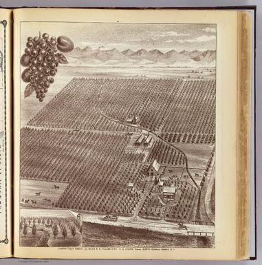 Chapin Fruit Ranch, 1 1/2 miles N.E. Tulare City. C.A. Chapin, owner, North Kohala, Hawaii, H.I. (1892)