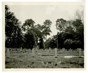 [Cemetery Crosses at Guadalcanal]