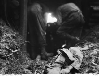 SHAGGY RIDGE, NEW GUINEA. 1944-01-22. AFTER TROOPS OF THE 2/12TH INFANTRY BATTALION HAD PULLED THEMSELVES, HAND OVER HAND, UP ROPES ON THE FACE OF MOUNT PROTHERO, THEY FOUND THAT THE WHOLE CREW OF ..