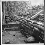 Trench behind ahu of coastal marae site 129 looking from E-W corner stone at lower right. Detail showing layers of fill