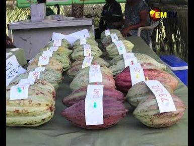CHOCOLATE FESTIVAL
