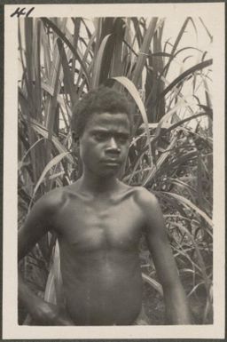 Papuan boy, New Britain Island, Papua New Guinea, approximately 1916