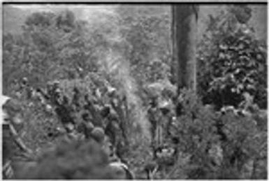 Pig festival, stake-planting, Tuguma: decorated men mark tree for felling at enemy boundary