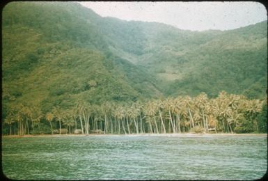 Nade and Toagese villages, on the coastline between Salamo and Mapamoiwa (1) : Fergusson Island, D'Entrecasteaux Islands, Papua New Guinea, 1956 / Terence and Margaret Spencer