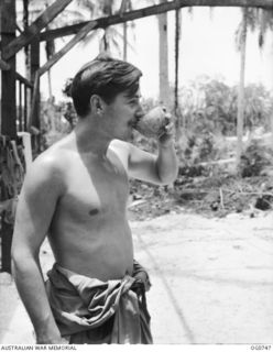 MOMOTE, LOS NEGROS ISLAND, ADMIRALTY ISLANDS. 1944-03-08. RAAF KITTYHAWK PILOT WARRANT OFFICER G. F. S. BROWN OF DROMANA, VIC, DRINKS FROM A COCONUT SHELL DUE TO A SHORTAGE OF CUPS. (SAME AS ..