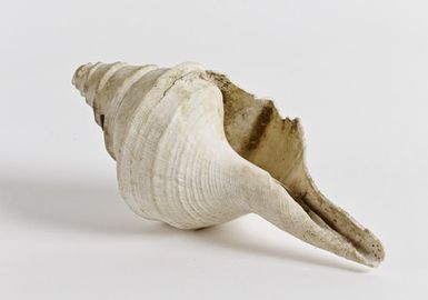 mussel blower