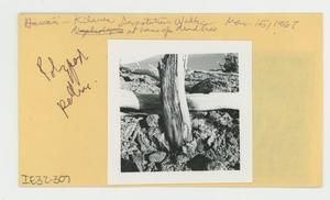 [unidentified in Hawaii, envelope IE32-307]
