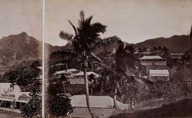 ["Levuka, Fiji: panoramic view: section three. Photograph, ca. 1880."]