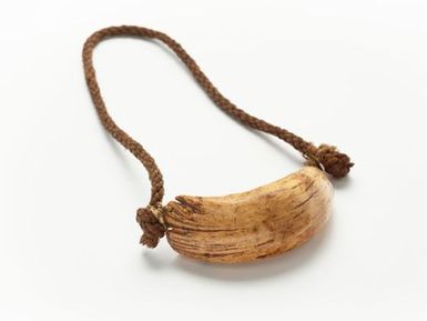 Tabua (Ceremonial whale tooth)