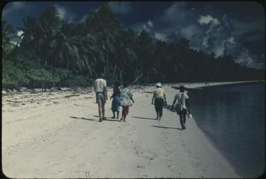 Walking down to the taro gardens : Tasman Islands, Papua New Guinea, 1960 / Terence and Margaret Spencer